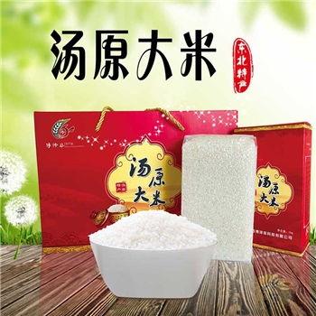 “博泽容”苗稻2号香米5KG袋汤原大米